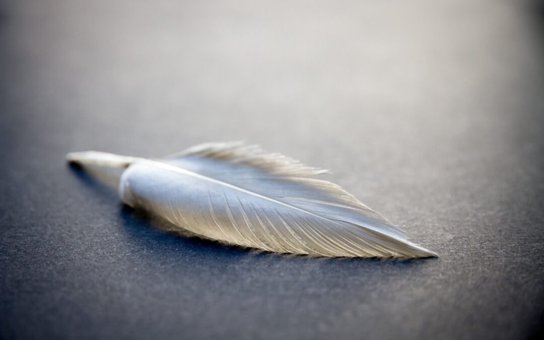 ¡A los ángeles les encanta comunicarse a través de señales!