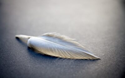 ¡A los ángeles les encanta comunicarse a través de señales!